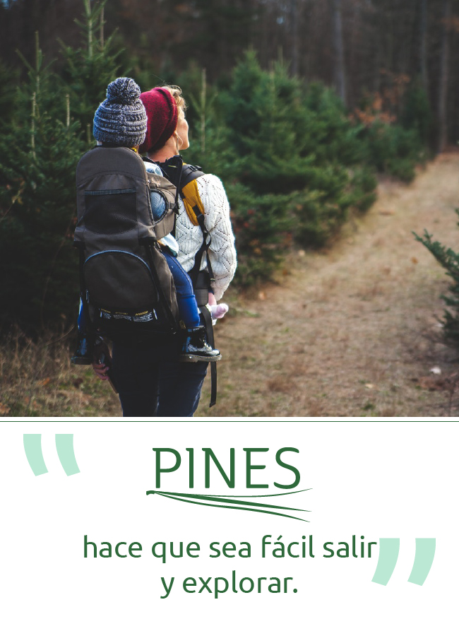 PINES makes it easy image