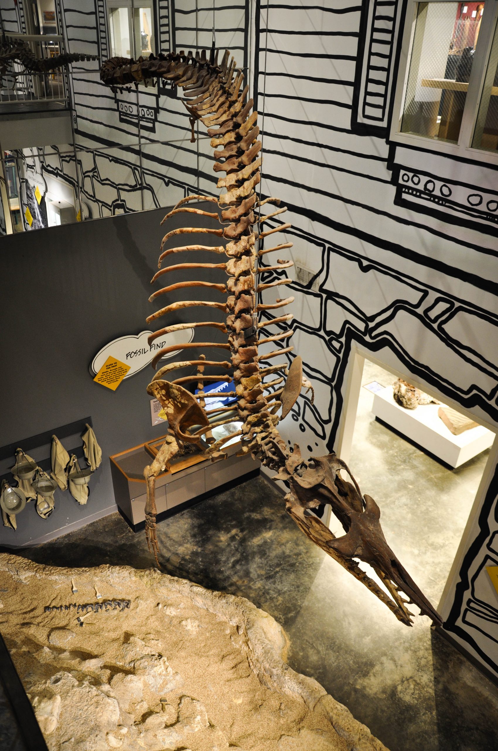 macon museum of arts and sciences dinosaur skeleton